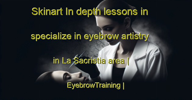 Skinart In-depth lessons in specialize in eyebrow artistry in La Sacristia area | EyebrowTraining | EyebrowClasses | SkinartTraining-Spain